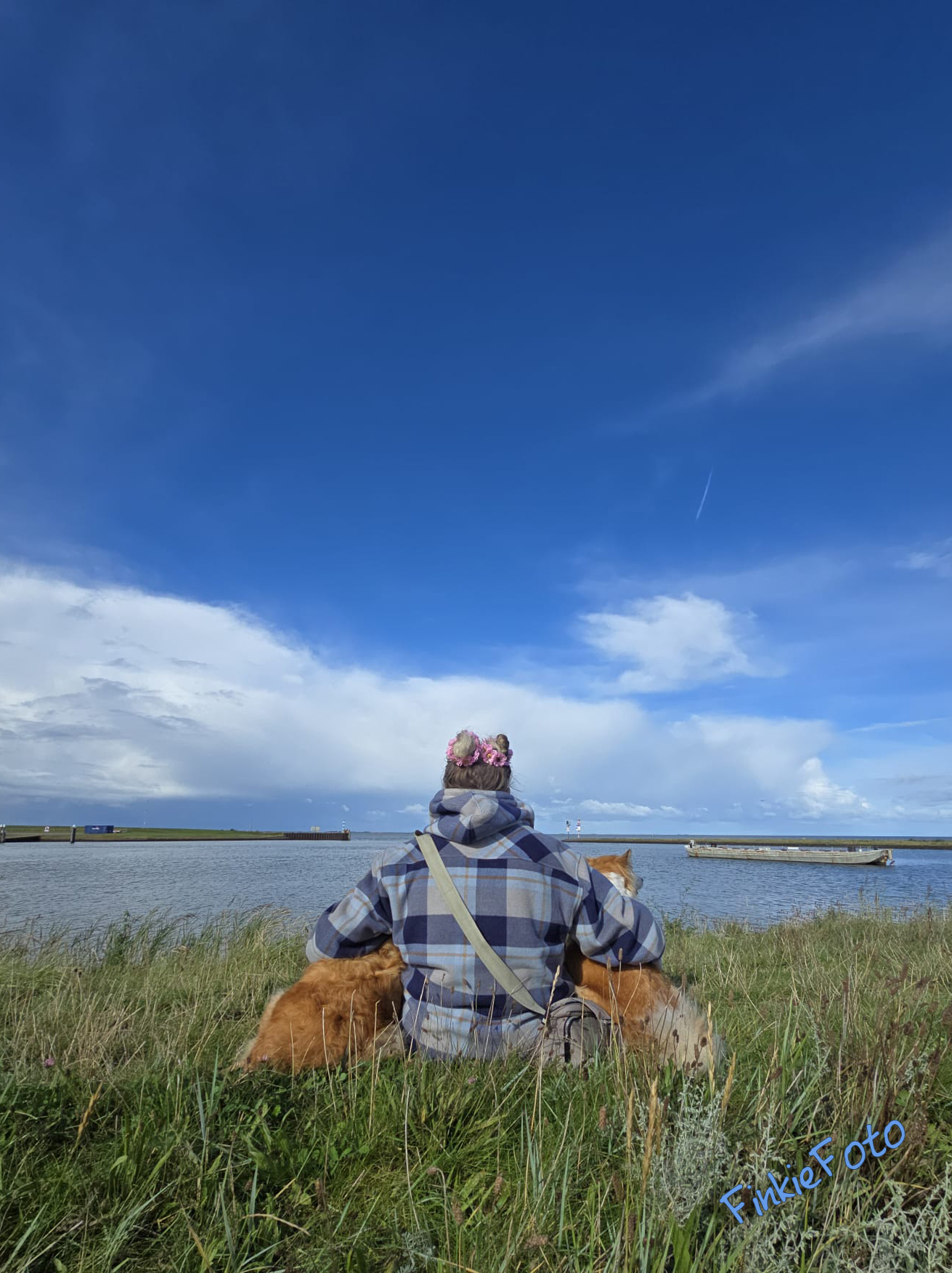 Skikkja and Miss Bera Icelandic Sheepdogs Skikkja and Miss Bera Icelandic Sheepdogs
