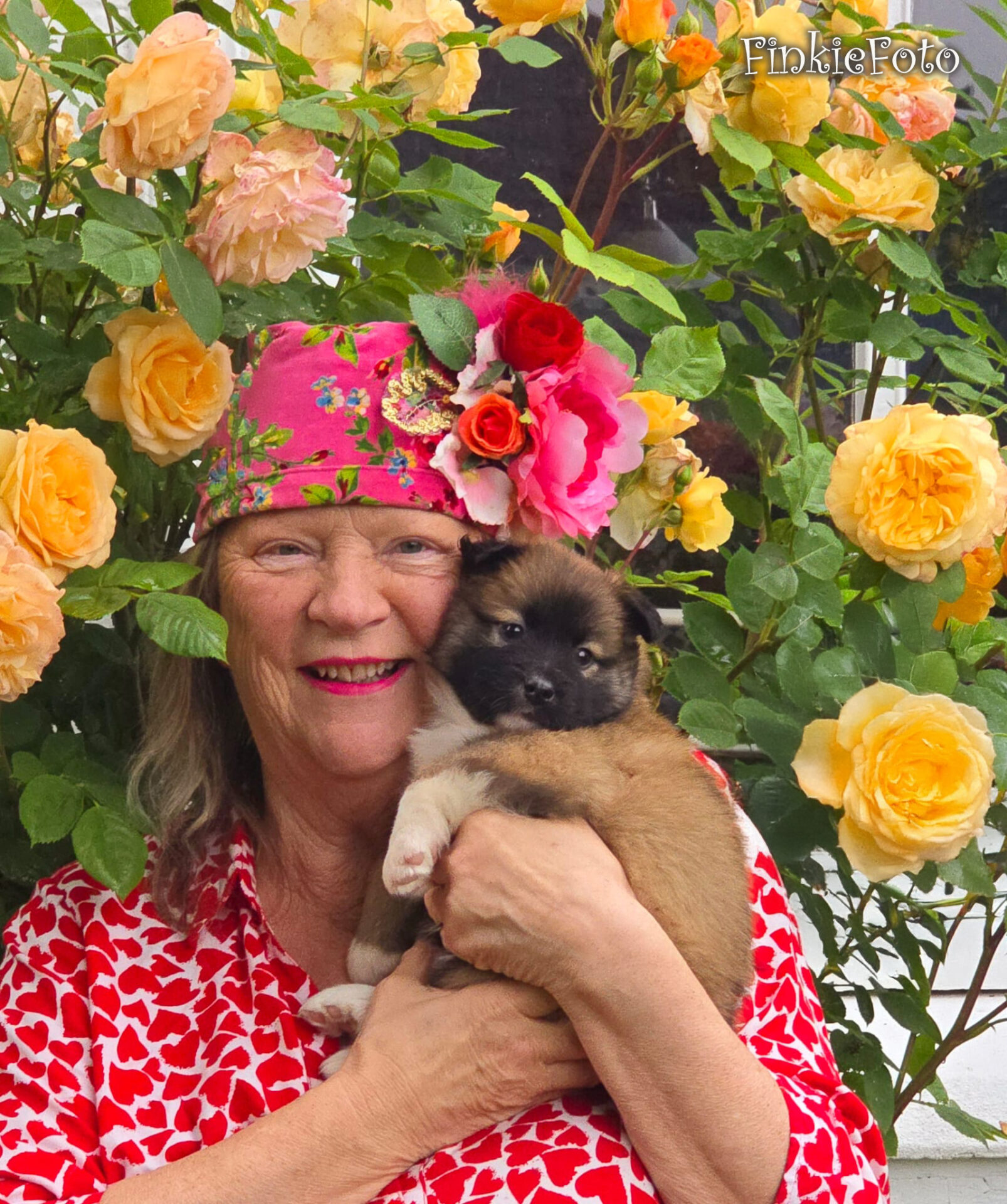Rosa Bambi Skaga FráHálendi IJslandse Hond