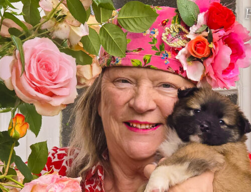 Welkom Rosa Bambi Skaga