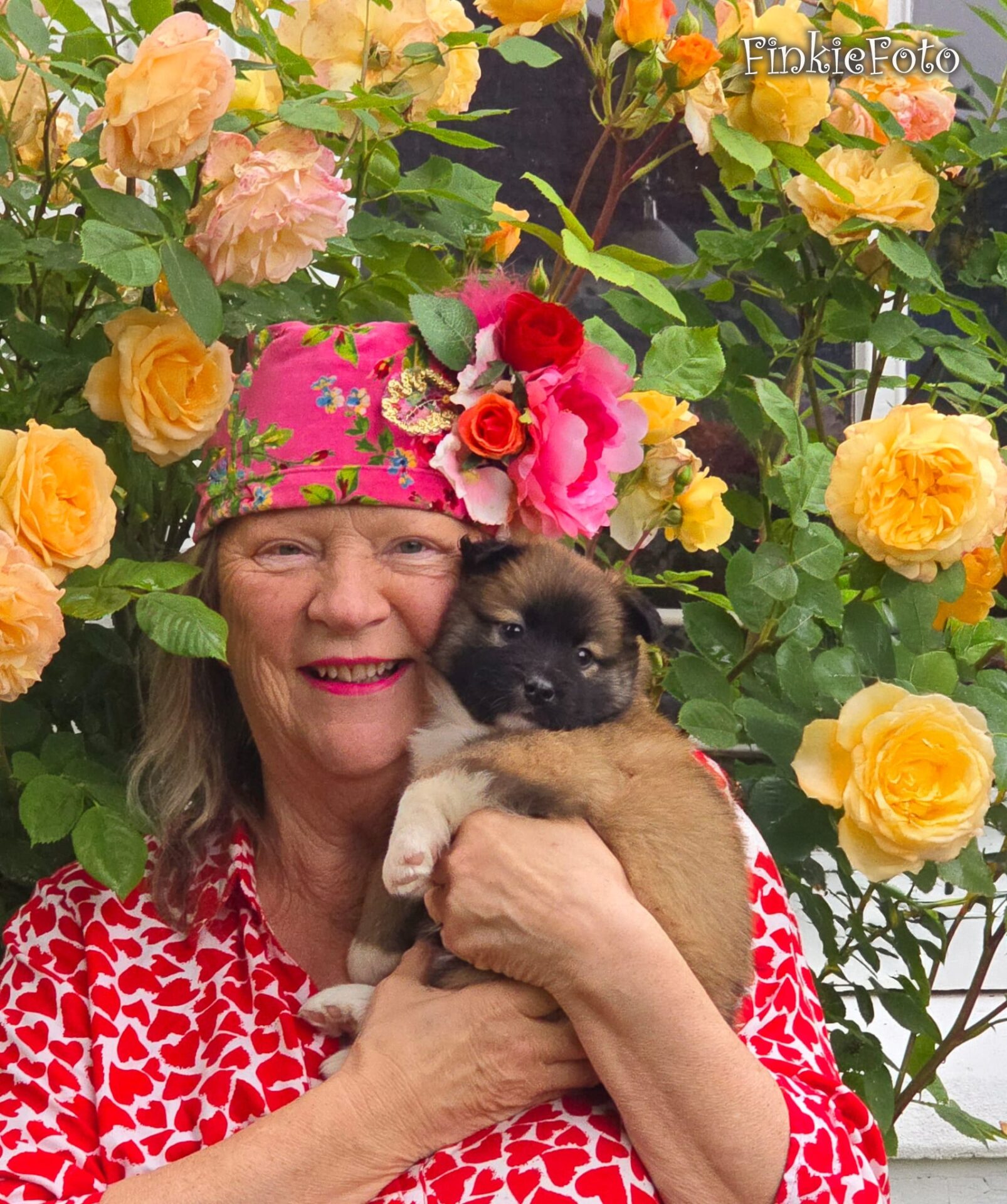Welkom IJslandse Hond Rosa Bambi Skaga FráHálendi