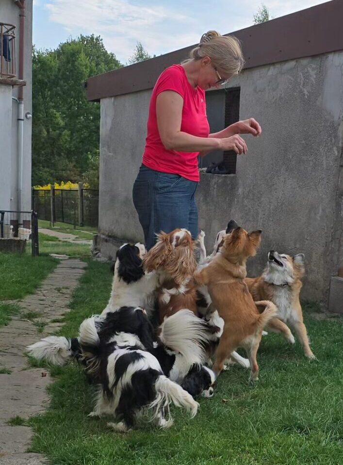 Anita en alle hondjes
