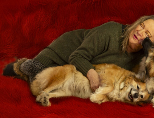 Avonturen uit Pieterburen