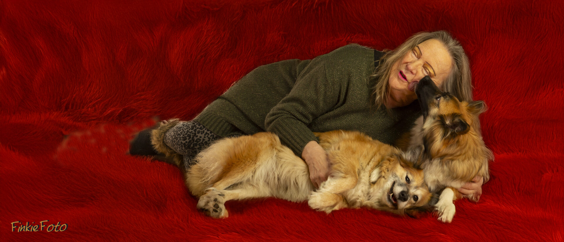 Echte liefde met IJslandse Honden