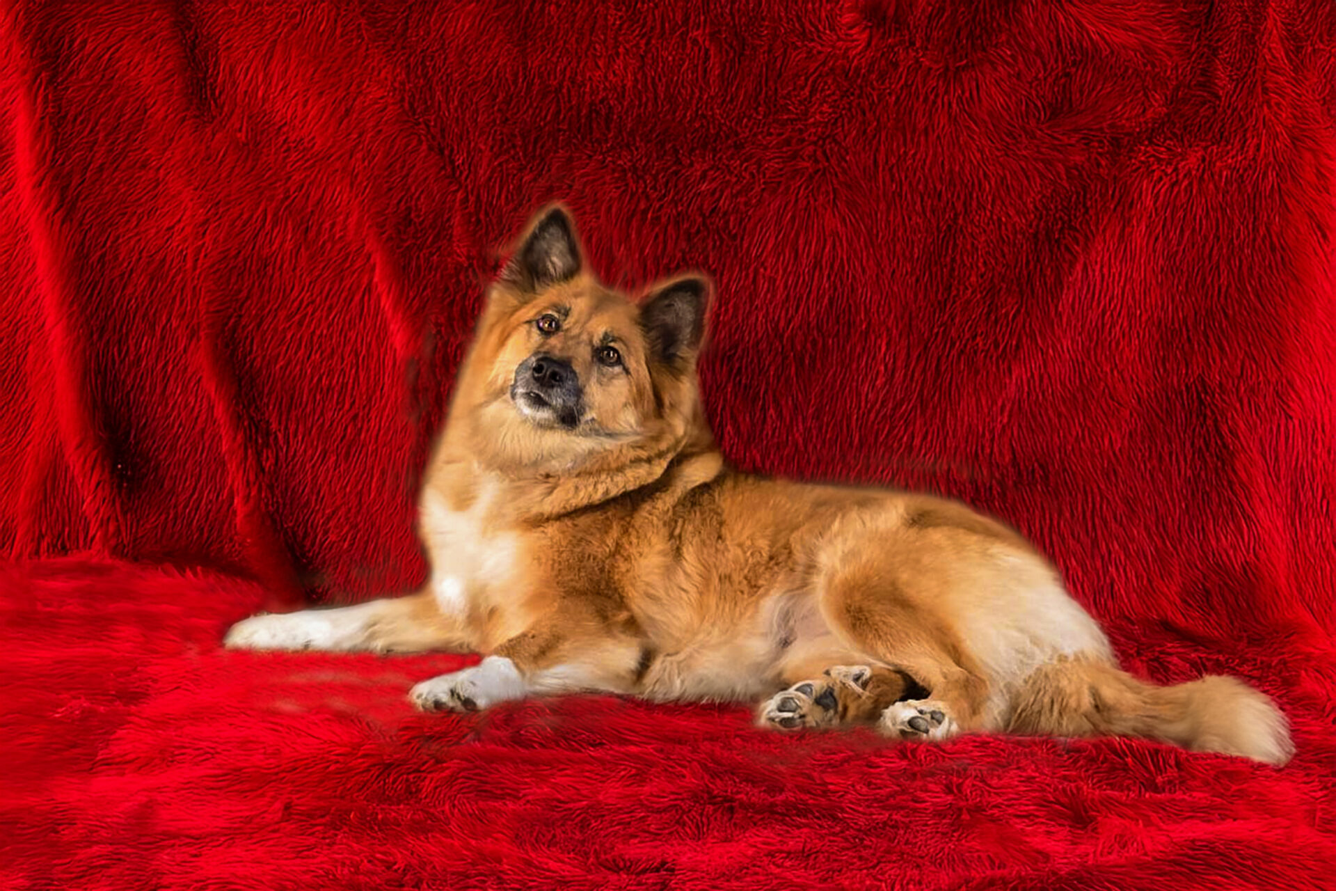 Skaga in sweet memorie