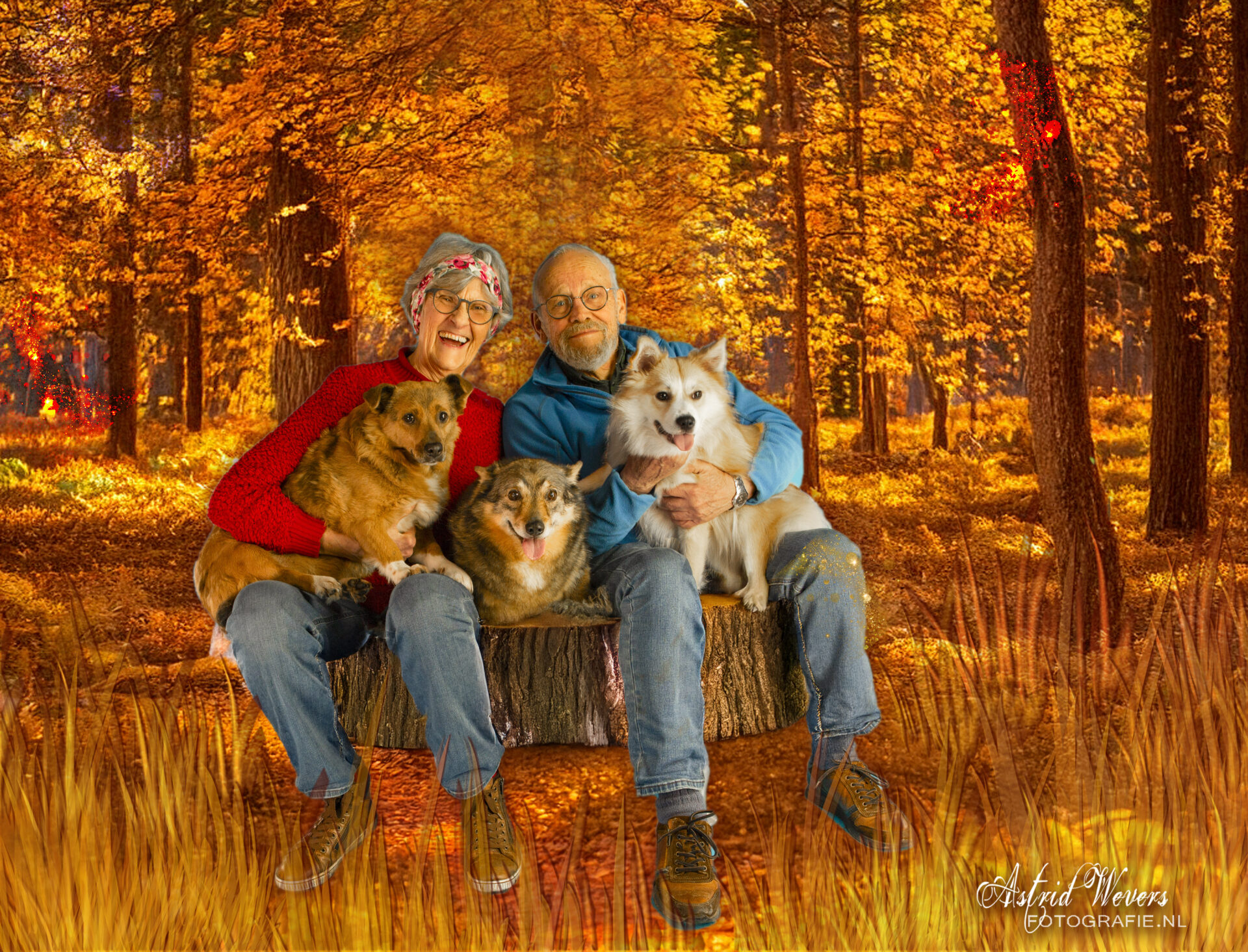 Familiefoto in het Sprookjesbos 