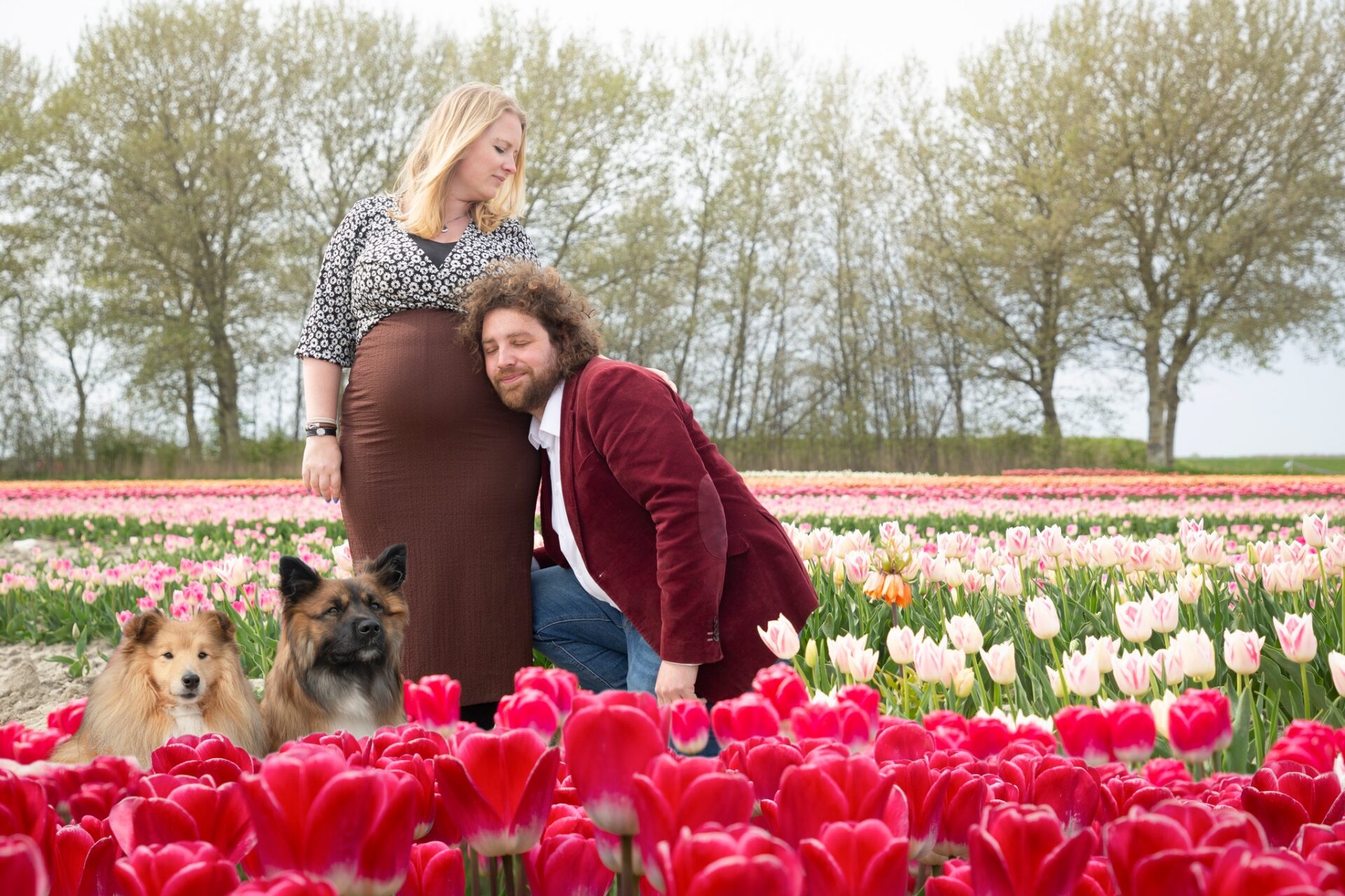 Ozzy IJslandse Hond in de tulpen