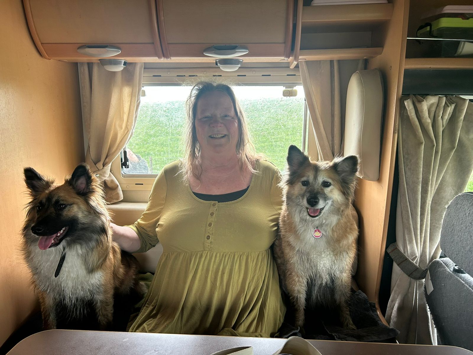 IJslandse Honden Stinkies in de camper