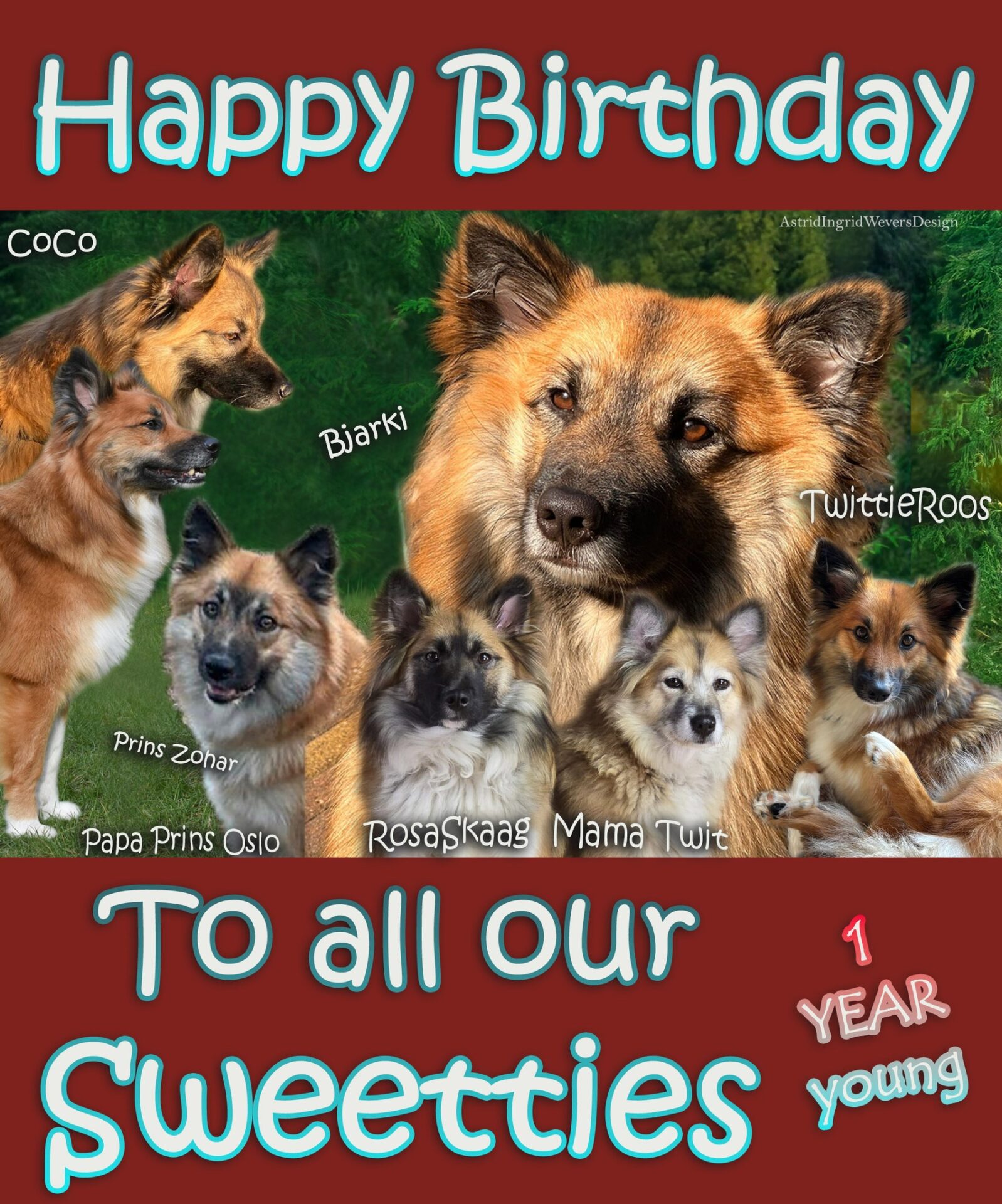 Verjaardag IJslandse Honden pups van Twirre